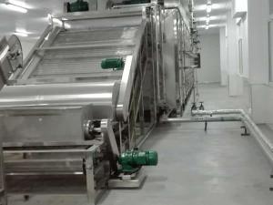 Línea de producción de chips de frutas
